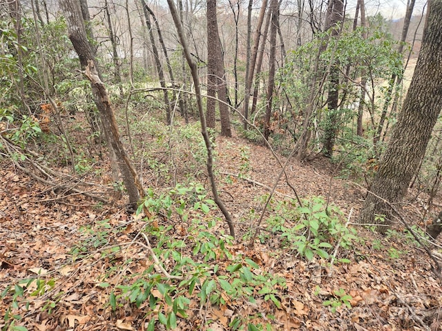 LOT28 Roundabout Rd, Lake Lure NC, 28746 land for sale