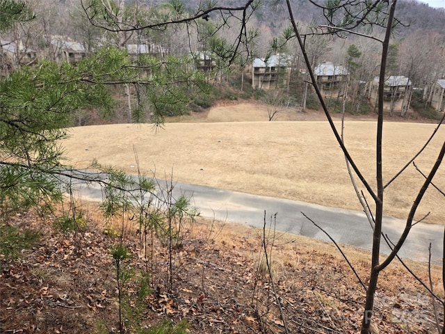 Listing photo 2 for LOT28 Roundabout Rd, Lake Lure NC 28746