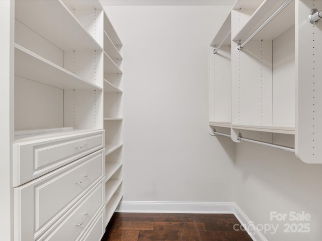 spacious closet featuring dark wood finished floors