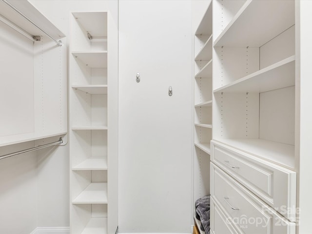 view of walk in closet