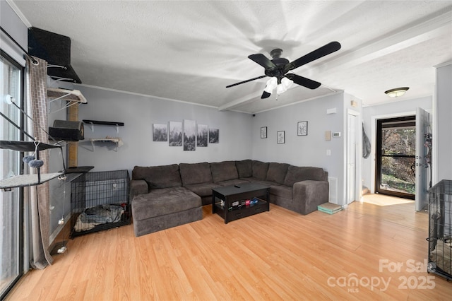 living room featuring crown molding, a textured ceiling, and wood finished floors