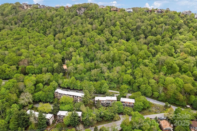 bird's eye view with a view of trees