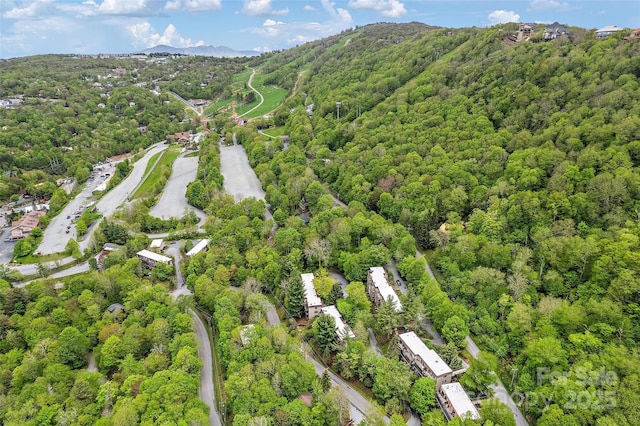 birds eye view of property with a forest view and a mountain view