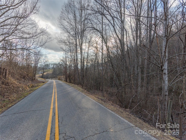 0 Hyder Mountain Rd, Clyde NC, 28721 land for sale