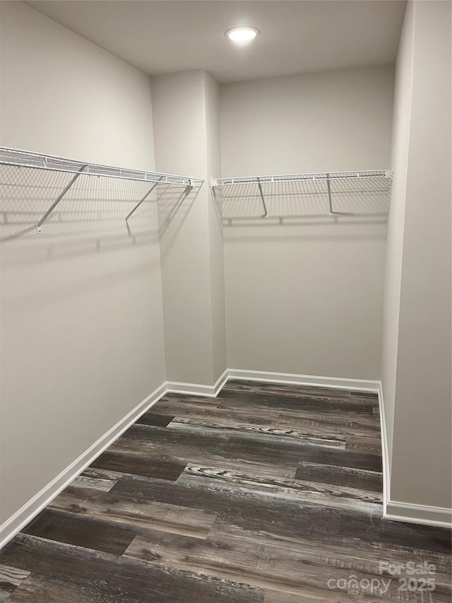 walk in closet featuring wood finished floors