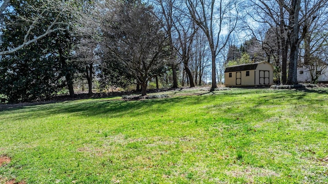 view of yard with an outdoor structure and a storage unit