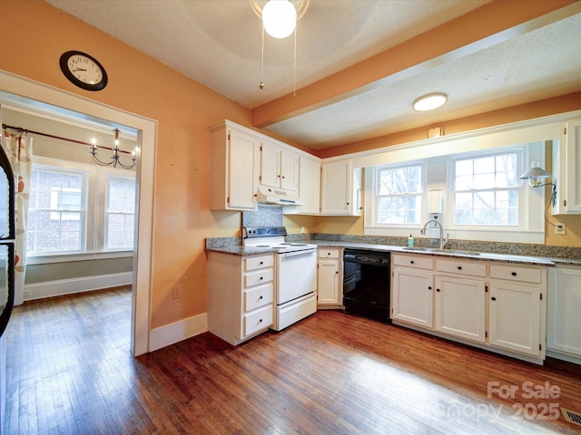 kitchen with electric range, plenty of natural light, dishwasher, under cabinet range hood, and a sink