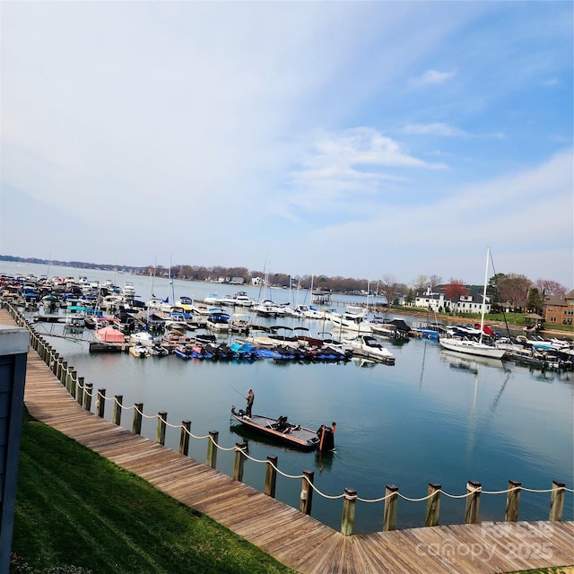 dock area with a water view