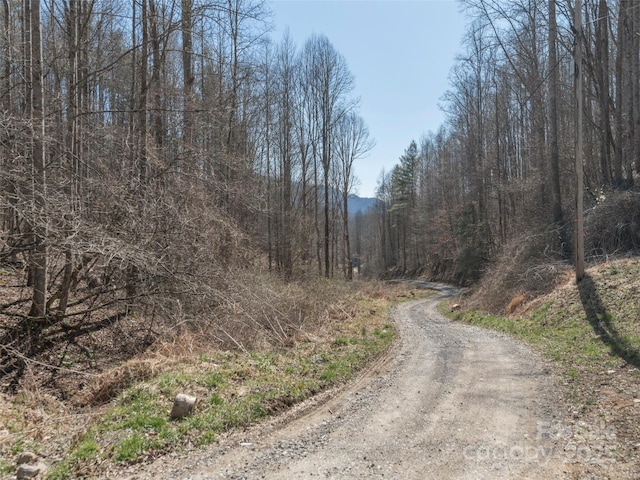 Listing photo 3 for 99999 Gibson Branch Rd, Clyde NC 28721