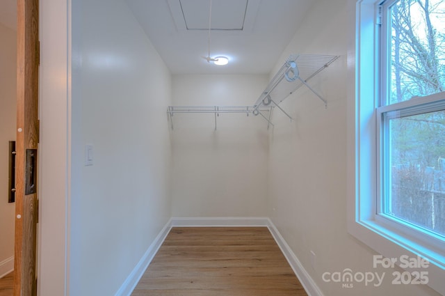 walk in closet featuring attic access and light wood-type flooring