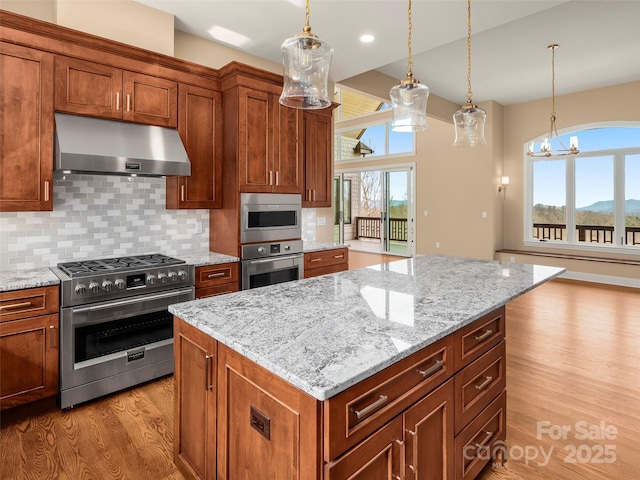 kitchen featuring under cabinet range hood, light wood finished floors, appliances with stainless steel finishes, and backsplash