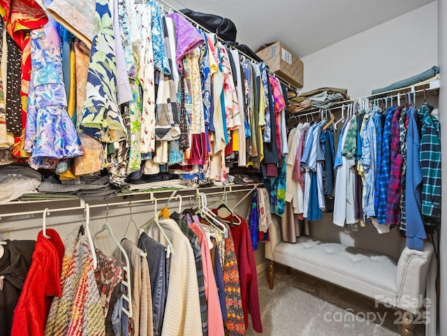 spacious closet featuring carpet floors