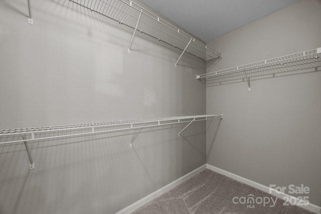 68 Wiltshire Cir, Fletcher, NC 28732 - spacious closet with dark colored carpet