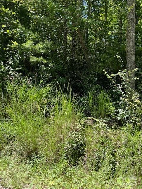 0 Pleasant Grove Church Rd Unit 3A, Hendersonville NC, 28792 land for sale