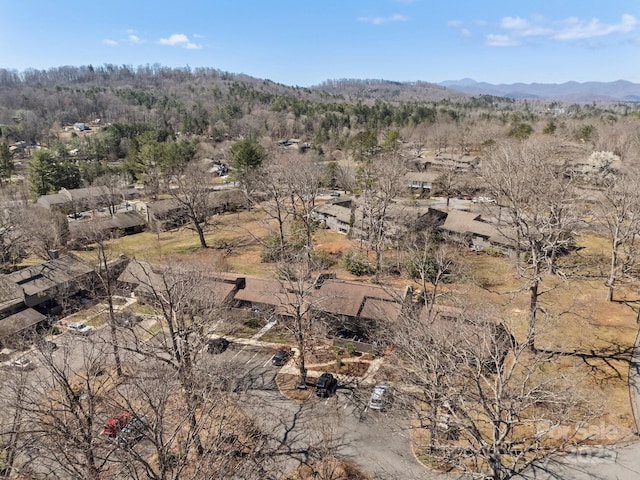 214 Crowfields Dr, Asheville, NC 28803 - photo 4