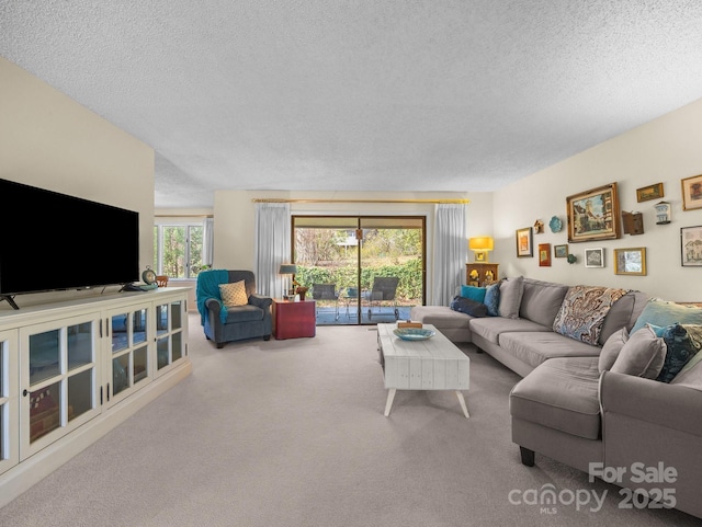 214 Crowfields Dr, Asheville, NC 28803 - photo 6