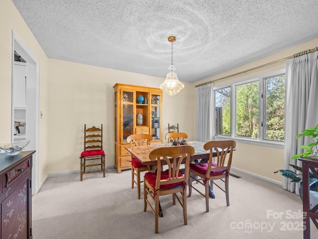 214 Crowfields Dr, Asheville, NC 28803 - photo 10