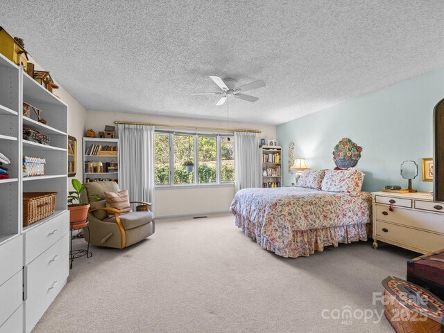 214 Crowfields Dr, Asheville, NC 28803 - photo 12