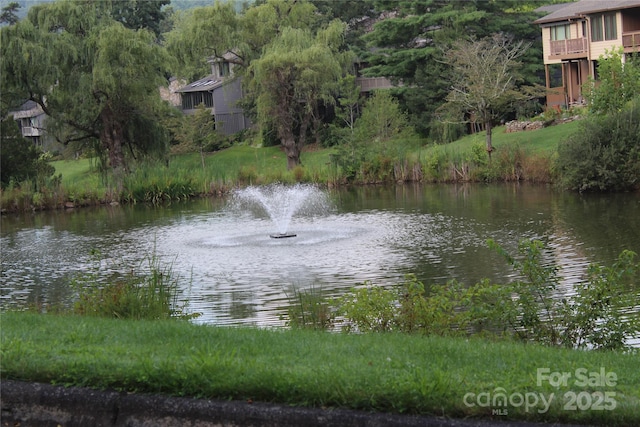 214 Crowfields Dr, Asheville, NC 28803 - photo 30