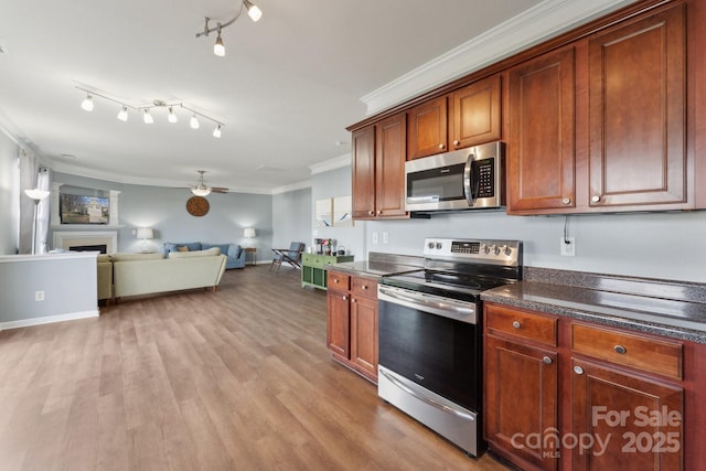 kitchen with light wood finished floors, appliances with stainless steel finishes, open floor plan, crown molding, and a fireplace