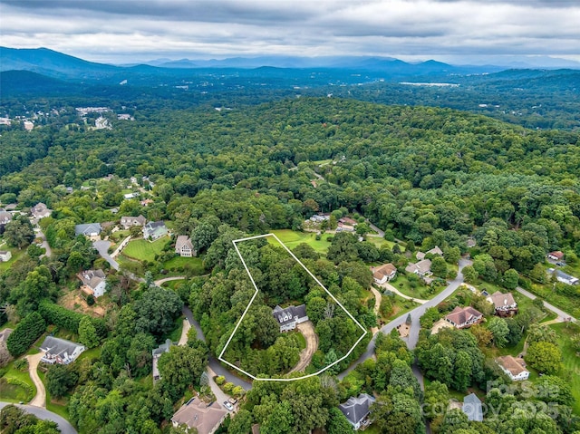 23 Clear Vista Dr, Asheville, NC 28805 - photo 4