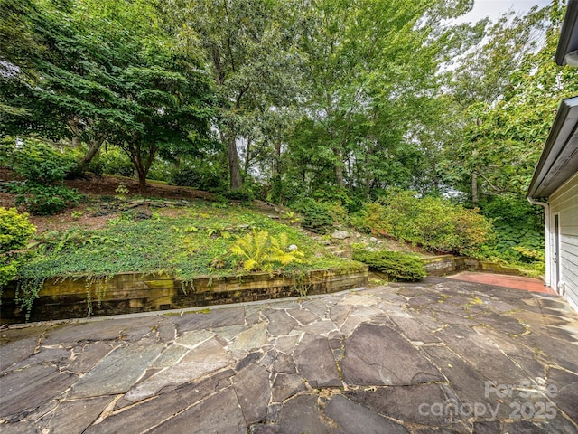 23 Clear Vista Dr, Asheville, NC 28805 - photo 39