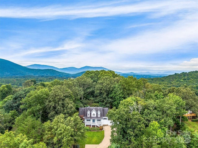 23 Clear Vista Dr, Asheville, NC 28805 - photo 42