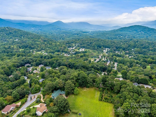 23 Clear Vista Dr, Asheville, NC 28805 - photo 44