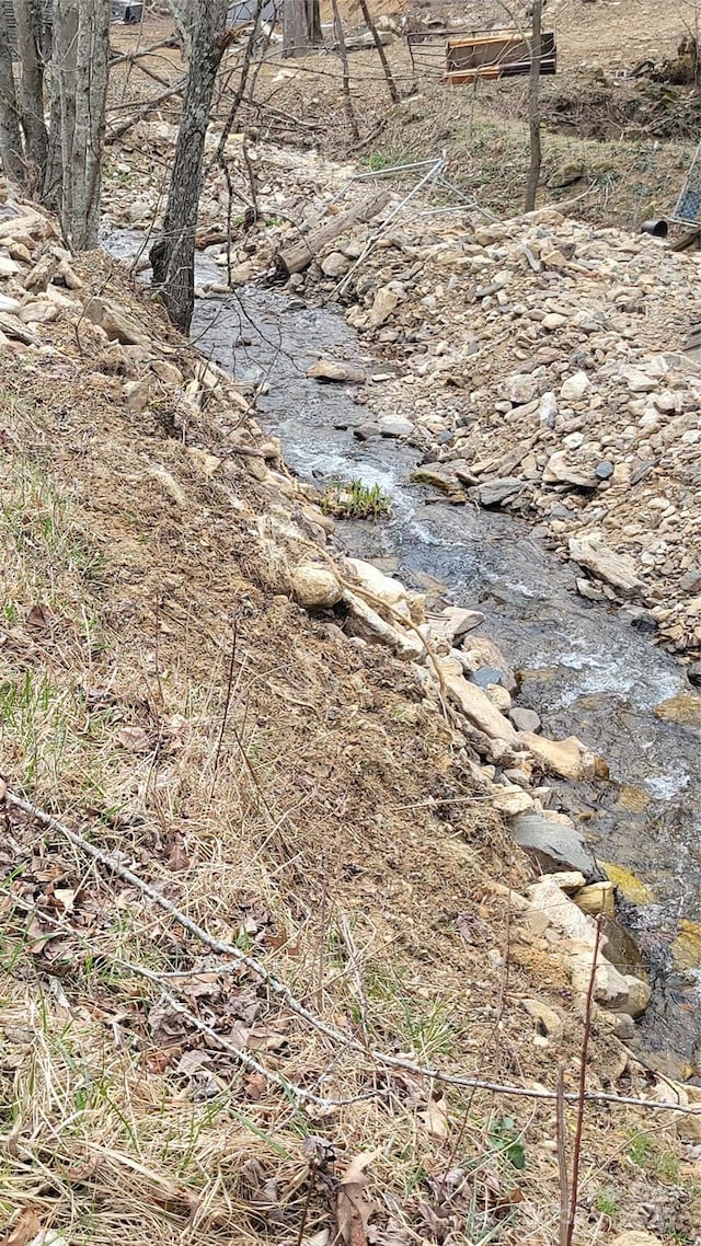 view of local wilderness