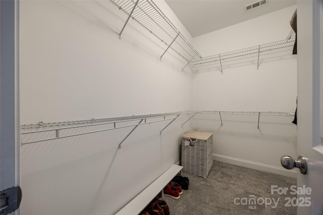 walk in closet with visible vents and carpet floors