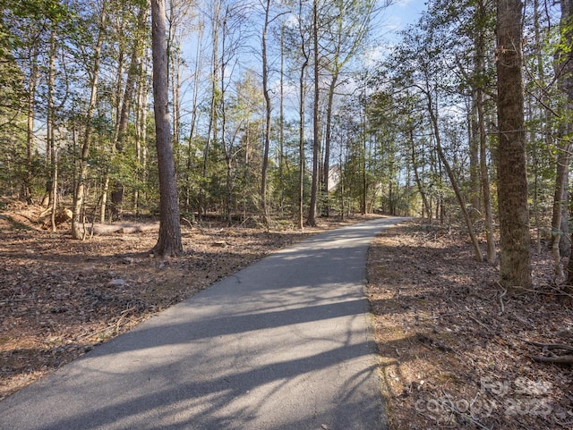 view of road