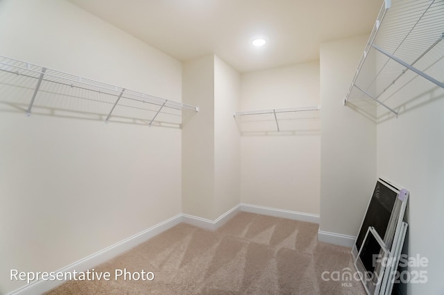 spacious closet featuring carpet floors