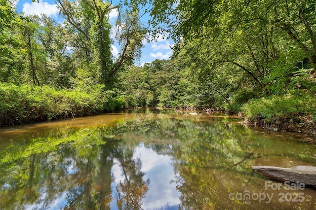 property view of water featuring a wooded view