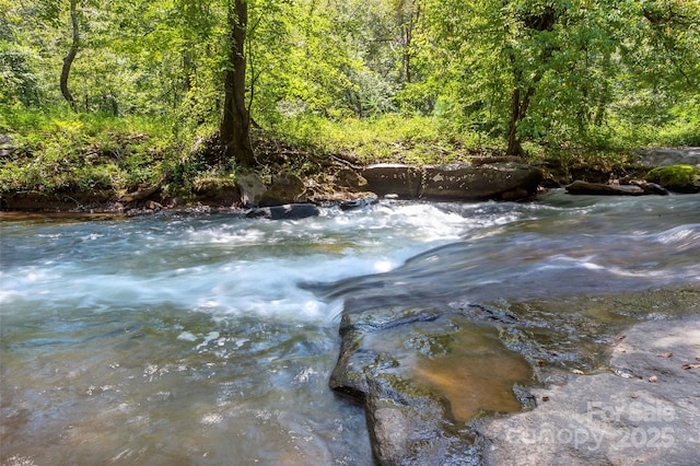 property view of water featuring a wooded view