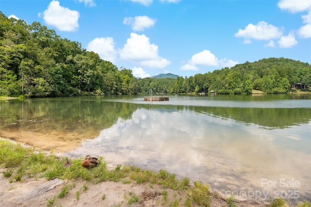 property view of water with a wooded view