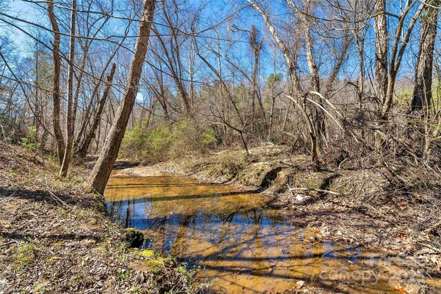 200 Blue Gill Dr, Lake Lure, NC 28746 - property view of water with a forest view
