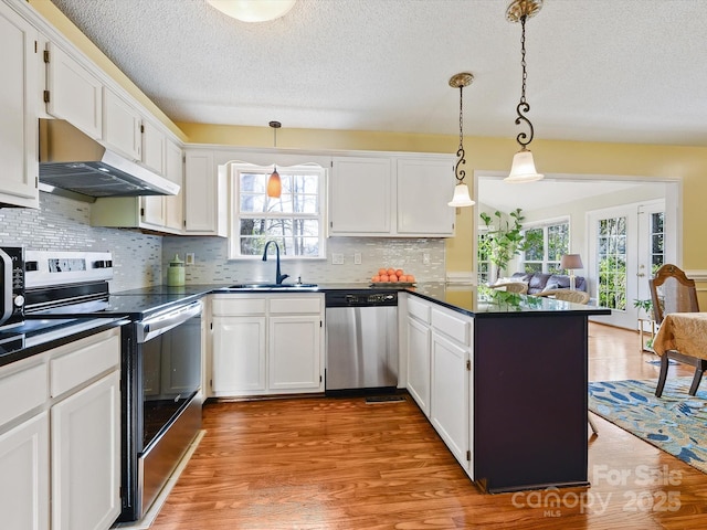 kitchen featuring a sink, dark countertops, under cabinet range hood, and stainless steel appliances