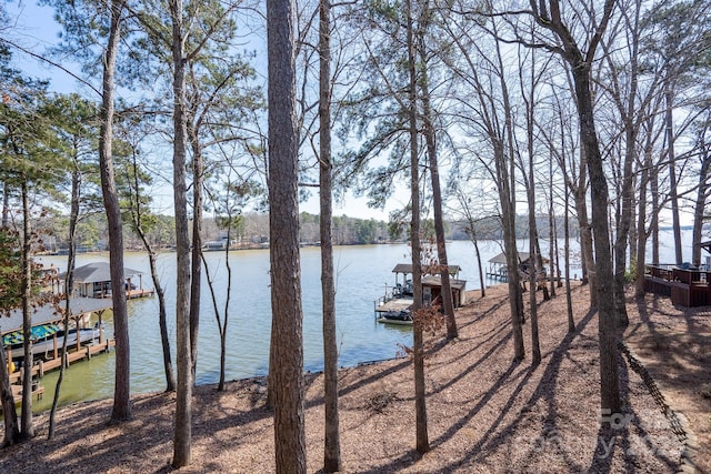 water view with a boat dock