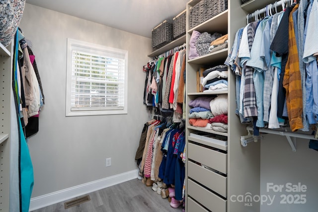 walk in closet featuring visible vents and wood finished floors