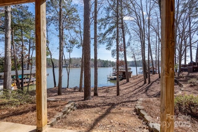 view of yard with a dock and a water view