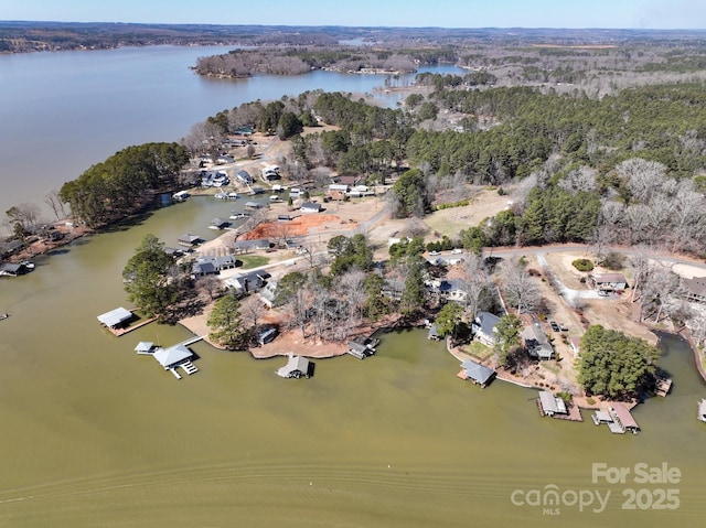 bird's eye view with a water view and a forest view