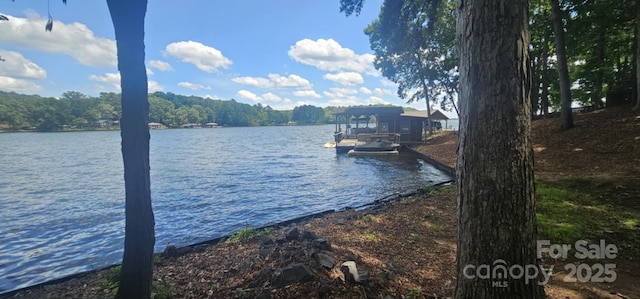 604 Fairway Shores Rd, Mount Gilead, NC 27306 - dock area with a water view and a view of trees