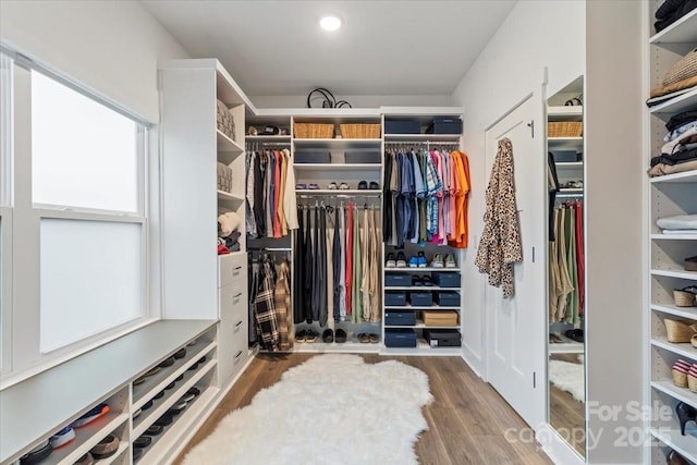 spacious closet featuring wood finished floors