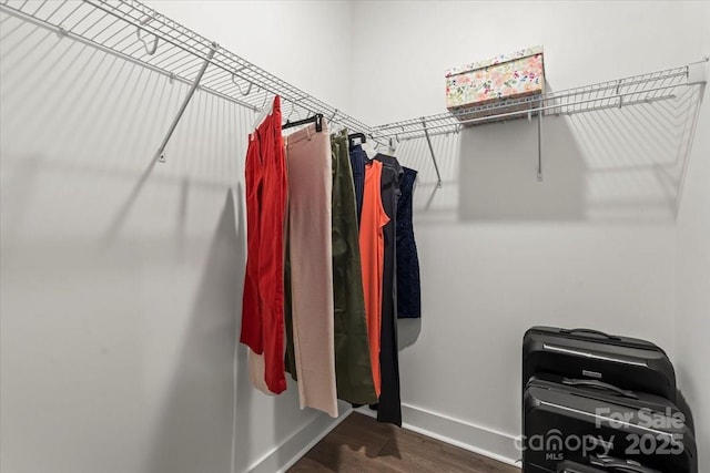 walk in closet with dark wood-style flooring