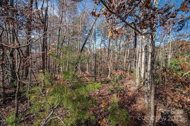 view of nature with a wooded view