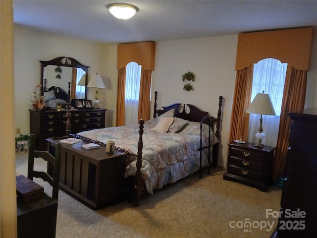 bedroom featuring carpet floors