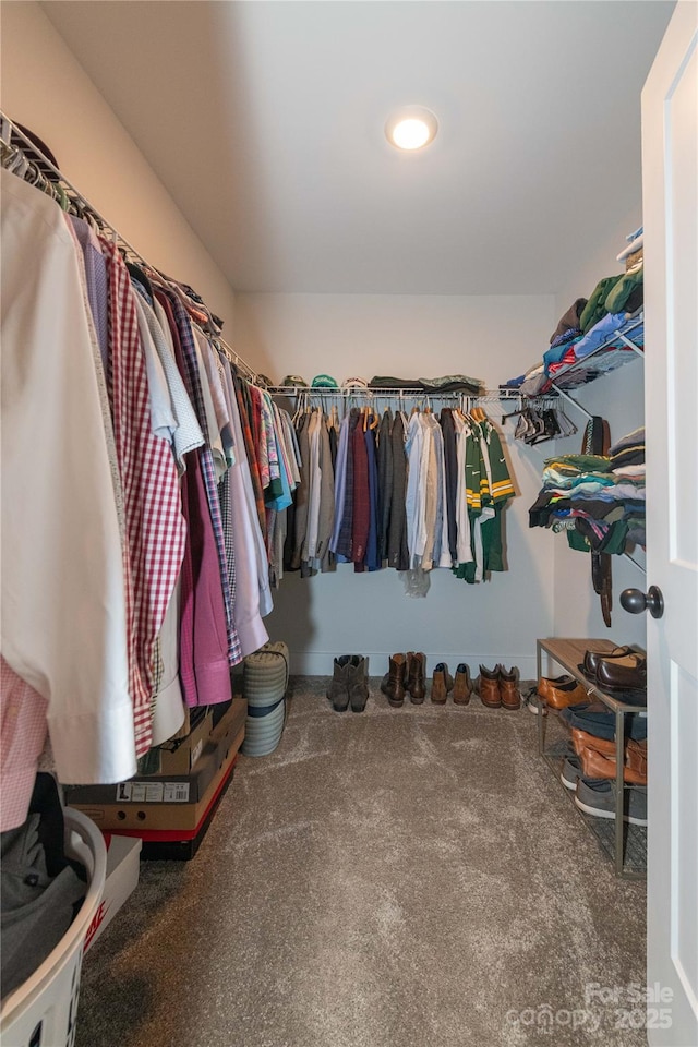 walk in closet featuring carpet