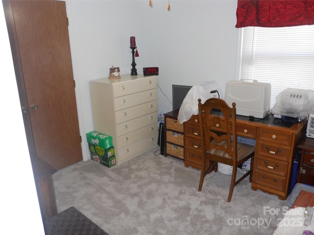 office featuring light colored carpet