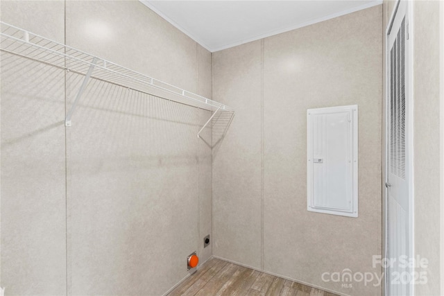 washroom featuring crown molding, hookup for an electric dryer, wood finished floors, laundry area, and electric panel