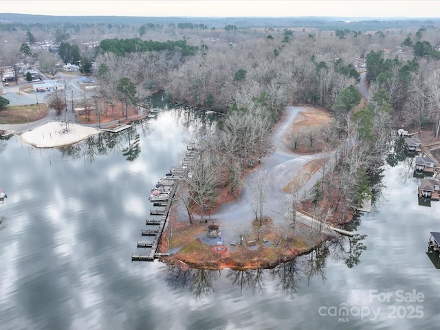 aerial view with a water view and a wooded view